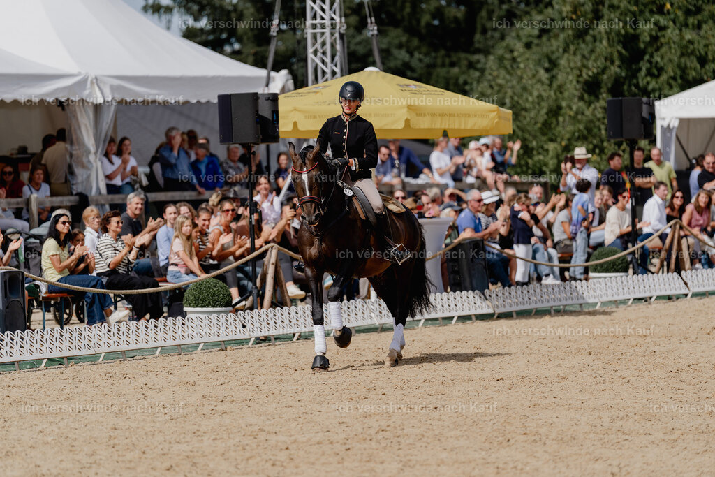 Virginie12FHC2025-3103 | working equitationturnier fotograf videograf stoibphotography marixx film working equitation deutschland reitsport turnierfotografie eventfotografie equestrian events