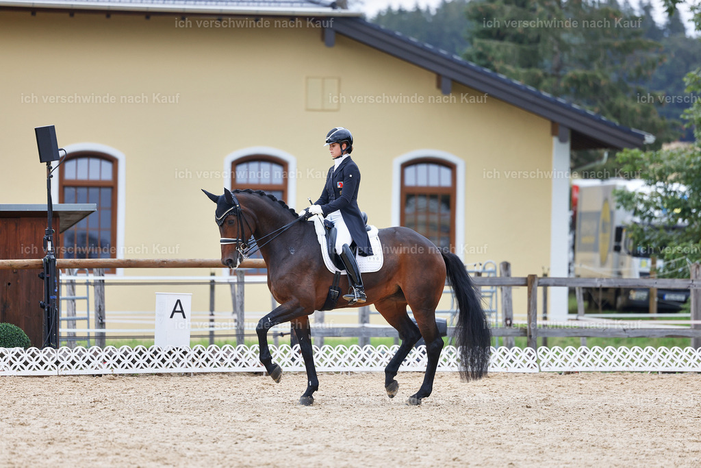 12-110-DRESSUR  S___  -StoibPH-5289 | working equitationturnier fotograf videograf stoibphotography marixx film working equitation deutschland reitsport turnierfotografie eventfotografie equestrian events