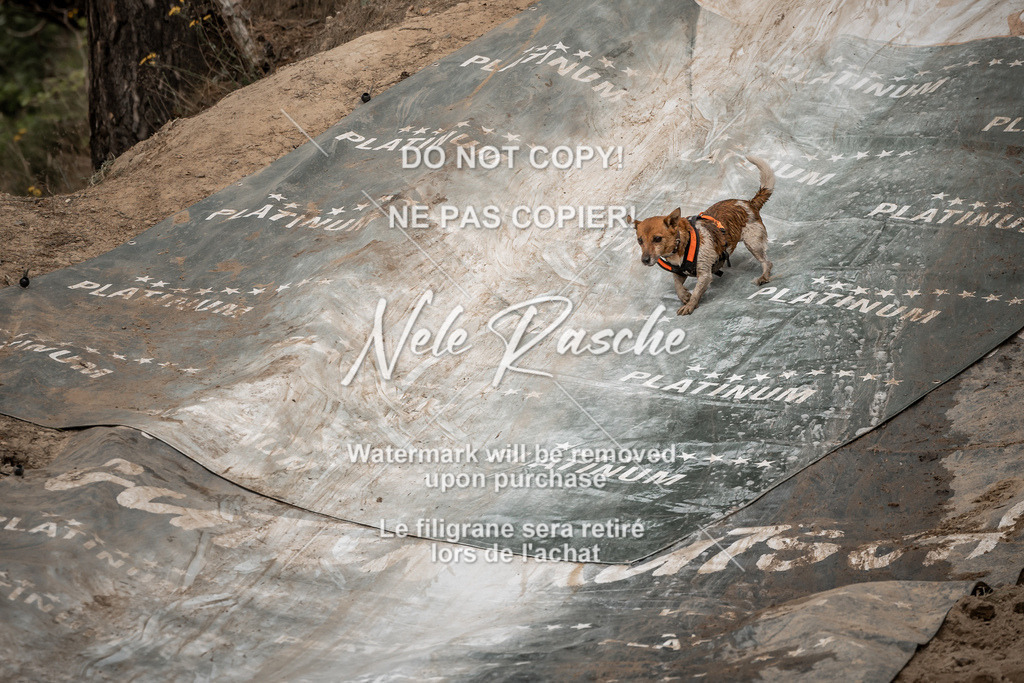 nelerasche_sa1200-1230_359 | nelerasche