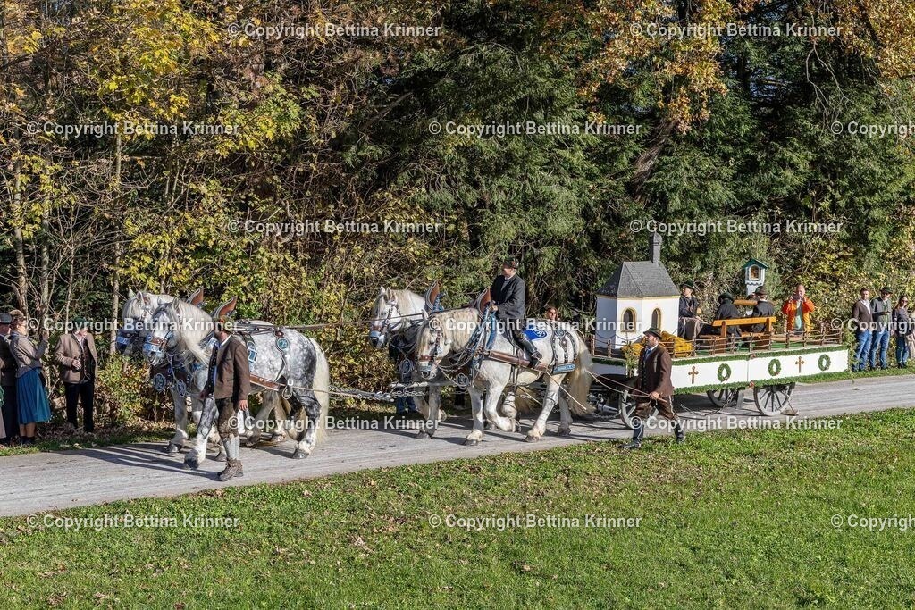 LBT24-478 | foto-bettina-krinner - Realisiert mit Pictrs.com