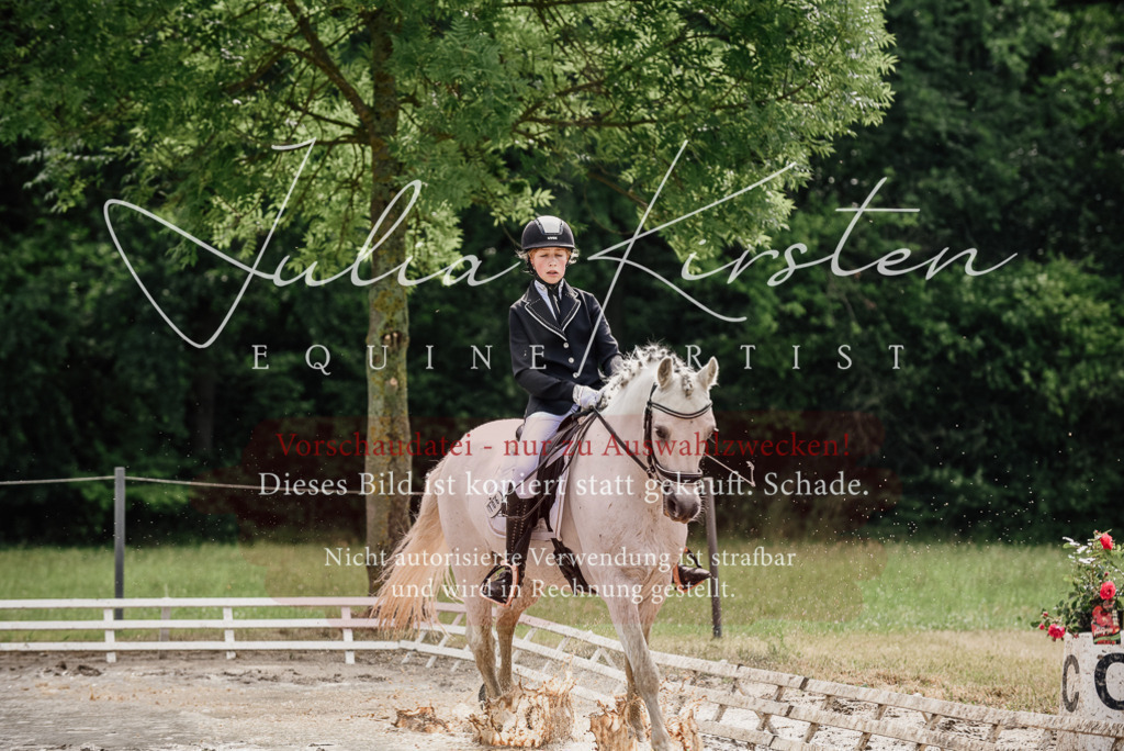 DSC_9478 | Pferde- und Turnierfotografie in Westsachsen. Pferdeportraits, Auftragszeichnungen und intuitive Kunst.