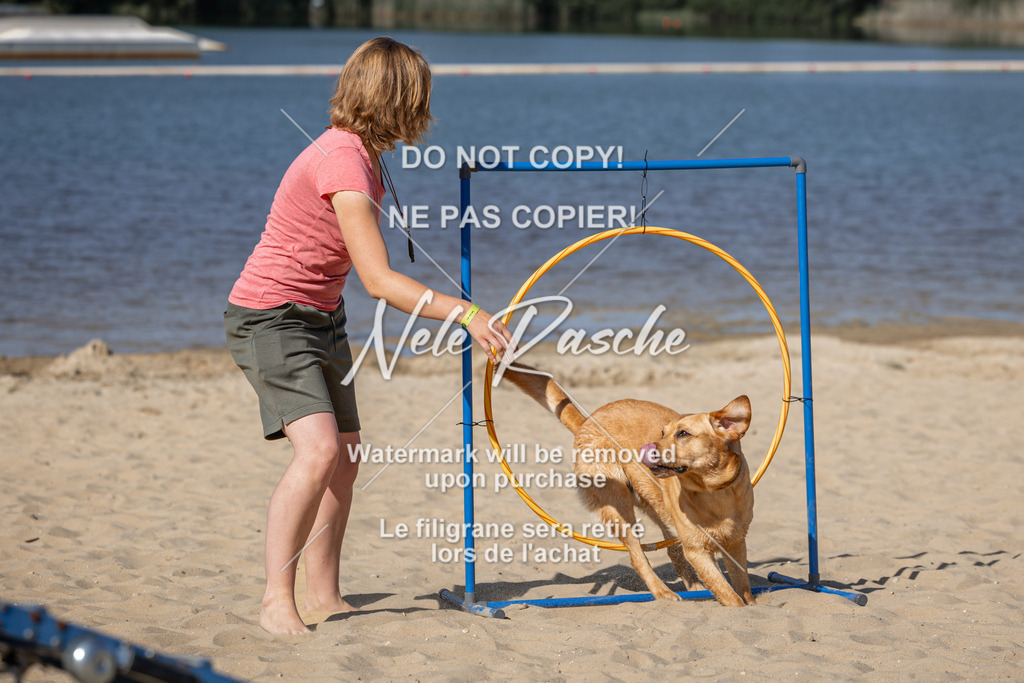 nelerasche_saBeachility_50 | nelerasche