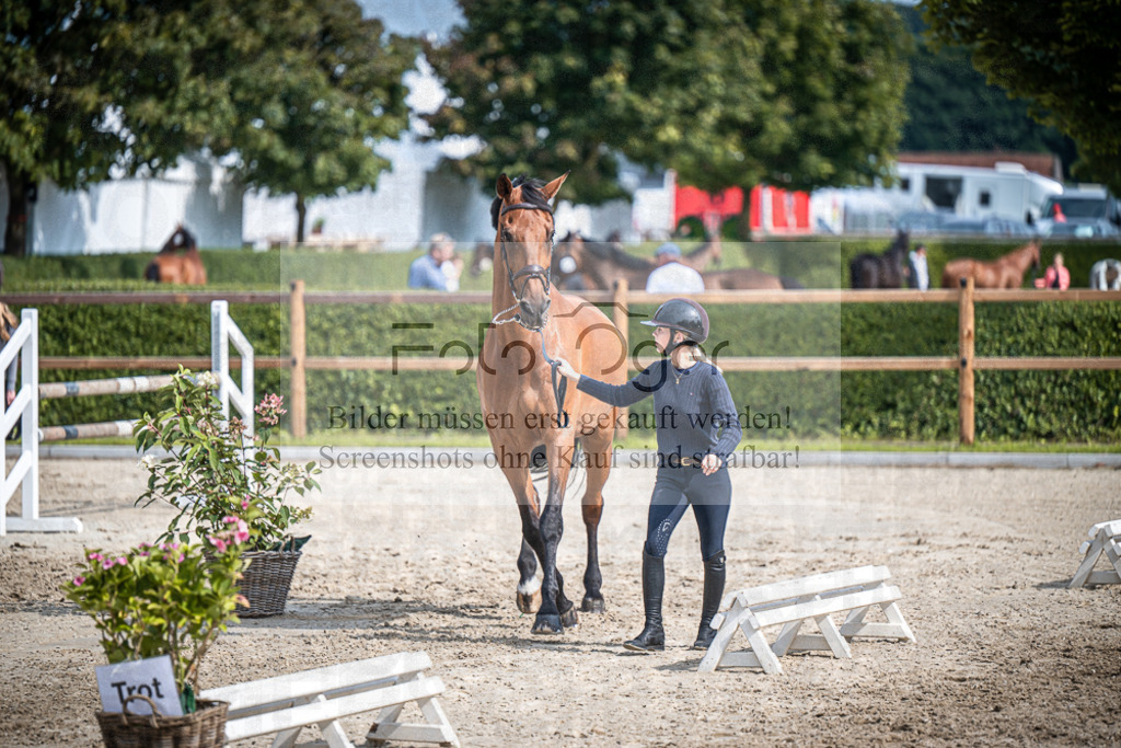 DOS_0659 | Entdecke hochwertige Reitturnierfotos von Foto Oger. Professionell, emotional und authentisch – jetzt Lieblingsmomente im Shop bestellen.Deutschlandweite Turnierfotografie. - Realisiert mit Pictrs.com