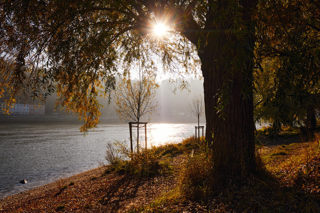 Herbstliche Landschaft am Donaustrand Alturfahr  | Linz, Austria - November 06, 2025: Herbstliche Landschaft am Donaustrand Alturfahr . - Realisiert mit Pictrs.com