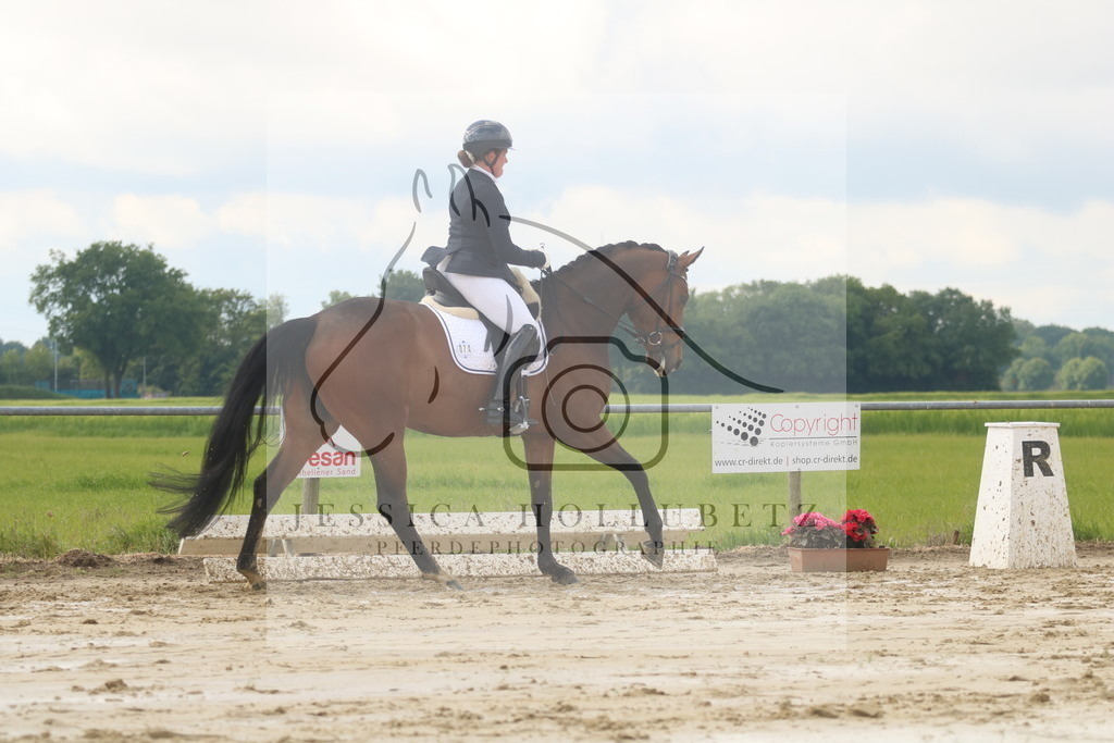 IMG_8462 | jessicahollubetz_pferdephotographie - Realisiert mit Pictrs.com