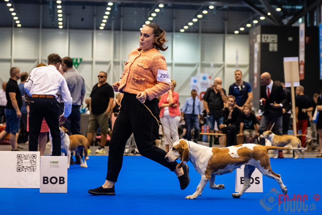 World Dog Show | World Dog Show 2023 im Palexpo in Genf 23.08.2023 Foto: Leo Wyden