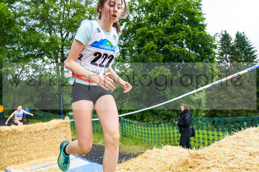 Hindernis-Cross Scheibe-Alsbach | Biathlonanlage "Am Rußtiegel" am 15. Juni 2024