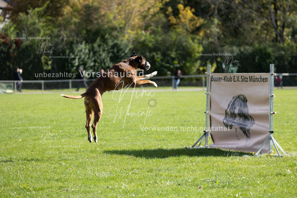 _16A6933 | Einzigartige Fotos von Hunden & Menschen –Actionfotos, Portraits, Vereinsaufnahmen & Paarshootings – authentisch, lebendig & mit Herz.