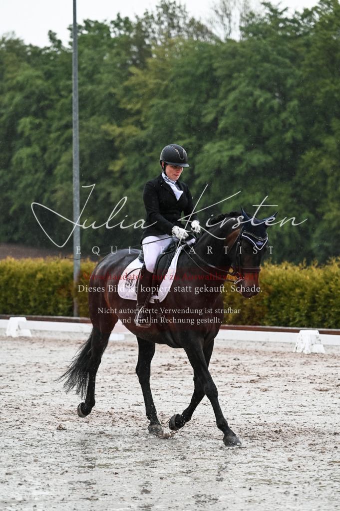 DSC_4685 | Pferde- und Turnierfotografie in Westsachsen. Pferdeportraits, Auftragszeichnungen und intuitive Kunst.