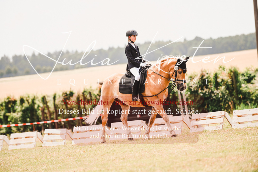 DSC_6249 | Pferde- und Turnierfotografie in Westsachsen. Pferdeportraits, Auftragszeichnungen und intuitive Kunst.