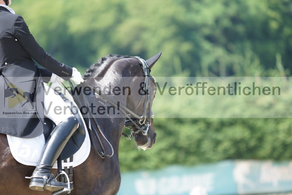 DSC05300 | equestrian-live-com