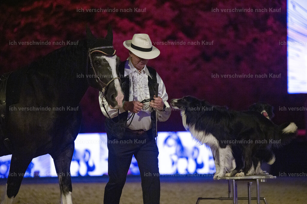 Gala-141 | working equitationturnier fotograf videograf stoibphotography marixx film working equitation deutschland reitsport turnierfotografie eventfotografie equestrian events
