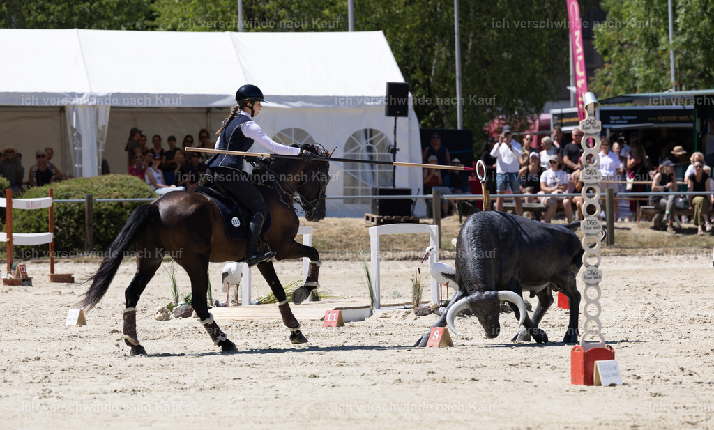 WM_Speed_Junioren_48_KerstinBernhardt-13 | working equitationturnier fotograf videograf stoibphotography marixx film working equitation deutschland reitsport turnierfotografie eventfotografie equestrian events