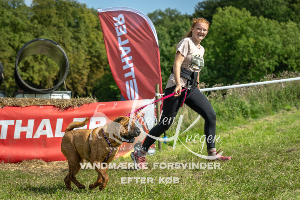 1311_ZZ92546 | kk-dogfotos