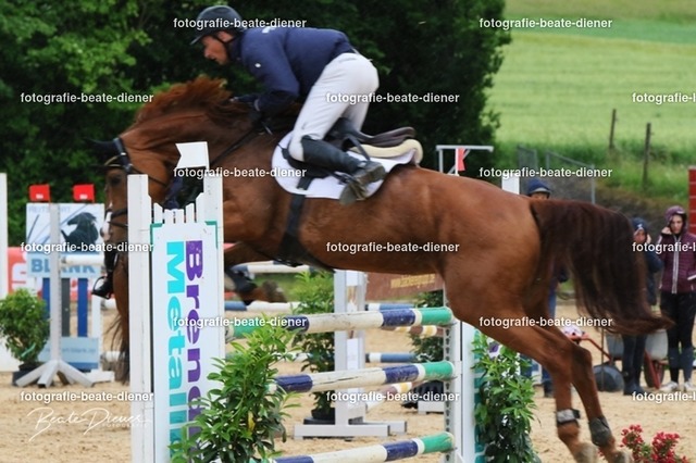 OHT2301 | Fotografie, Tiere, Hunde, Katzen, Pferde, Sportfotografie, Fotosession, Tierfotografie, Turnierfotografie, Fotografin, Fotograf - Realisiert mit Pictrs.com
