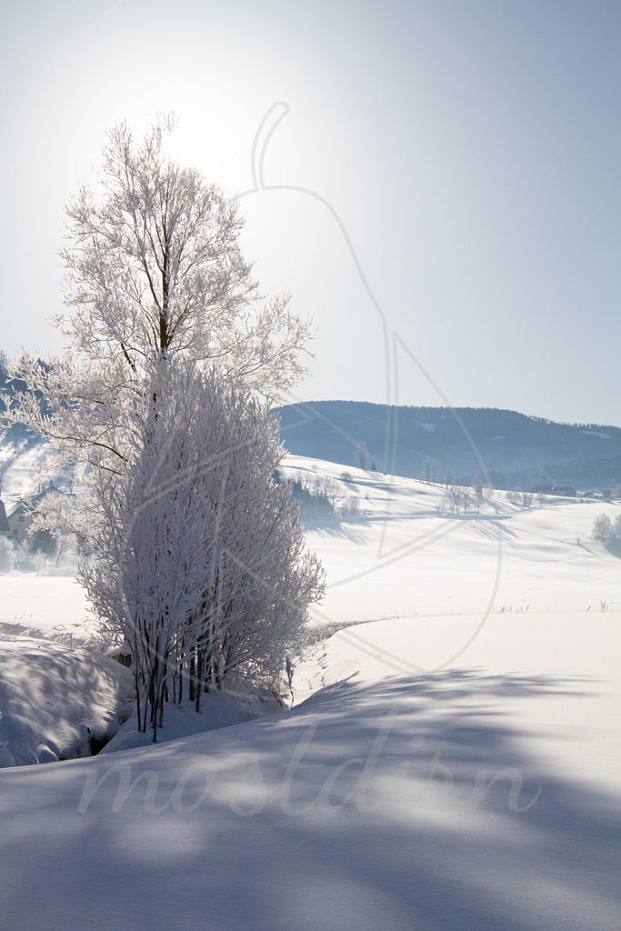 Frostig schöne Landschaft | Bei Veröffentlichung des Bildes ist eine Namensnennung wie folgt erforderlich: 
Foto: Mostdirn Irmgard Wieser - Realisiert mit Pictrs.com