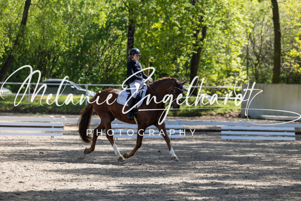 7I8A2891 | melanie-engelhardt-photography - Realisiert mit Pictrs.com
