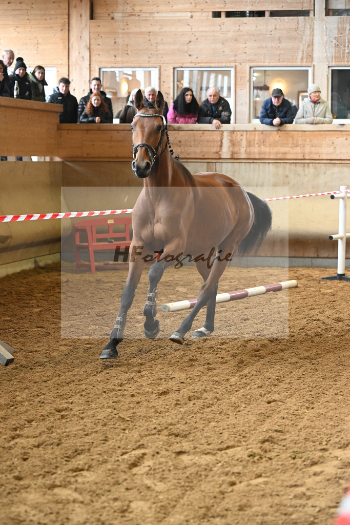 Kat-Nr. 15 Clara della Luna v. Chambretto GT_Egetenmeier_16250649 | hf-fotografie - Realizzato con Pictrs.com