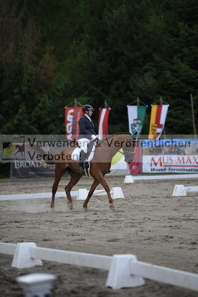 DSC_6392 | equestrian-live-com