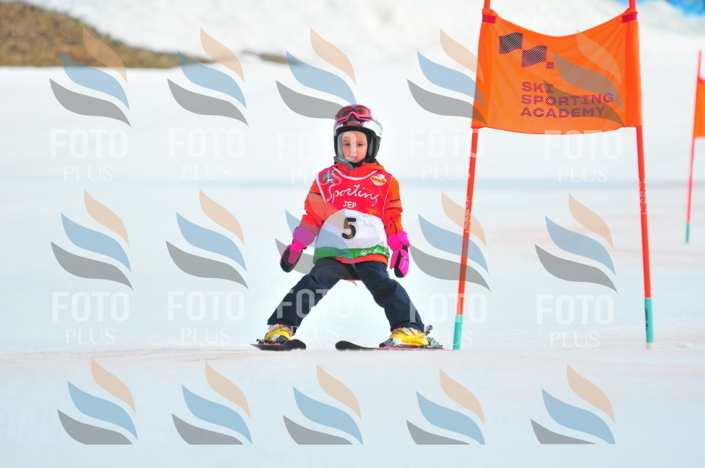 C0810 | holidayphoto