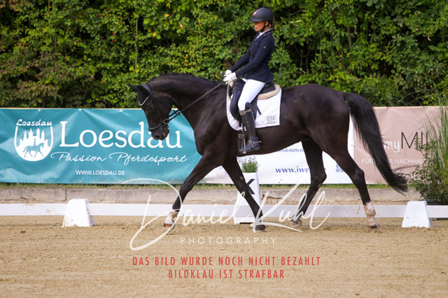 DKP41152 | Turniersportfotografie; Pferdefotografie; Dressurfotografie