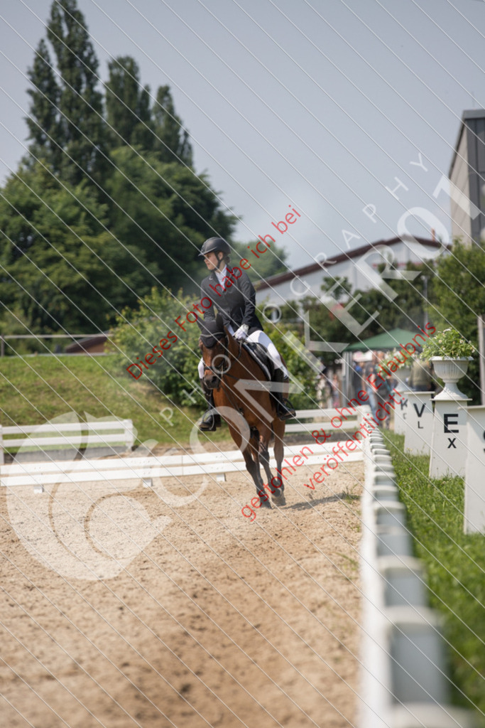 IMG_3569 | Sport-, Event- und Tierfotos in Profiqualität. Einfach auswählen, bestellen und herunterladen. Dein Moment – perfekt festgehalten.