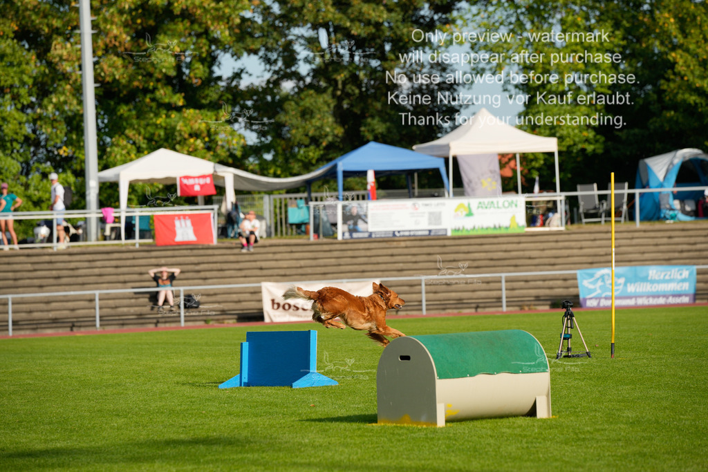 Samstag_CSC (1607 von 2023) | stephaniefillaphotographie - Realisiert mit Pictrs.com