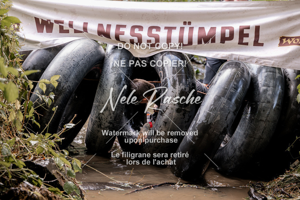 nelerasche_Hunsrück2026_Sa1400-1500_154 | nelerasche