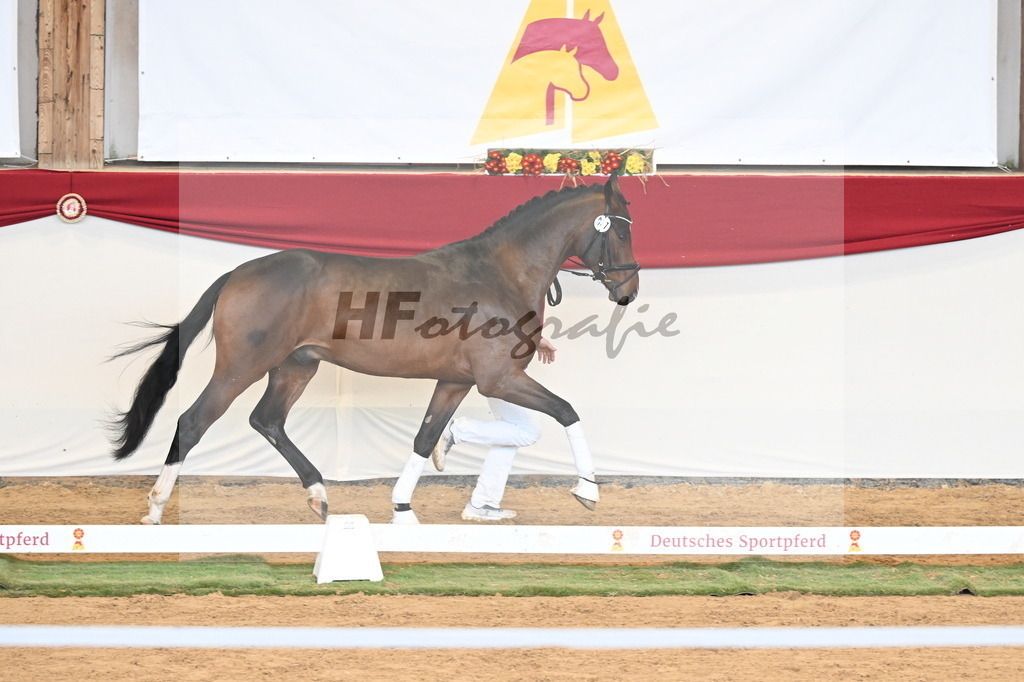 Kat.-Nr. 77 v. Taurus_Casper und Eulich_3261047 | hf-fotografie - Realizzato con Pictrs.com