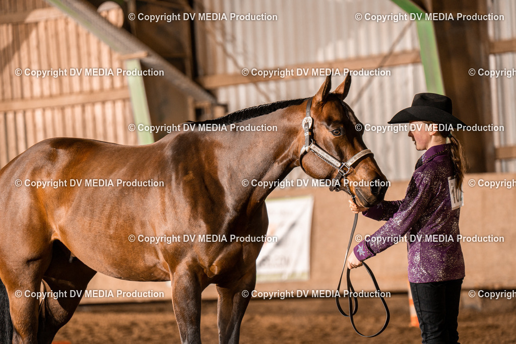 BAL01254 | dv-media-shop - Realisiert mit Pictrs.com