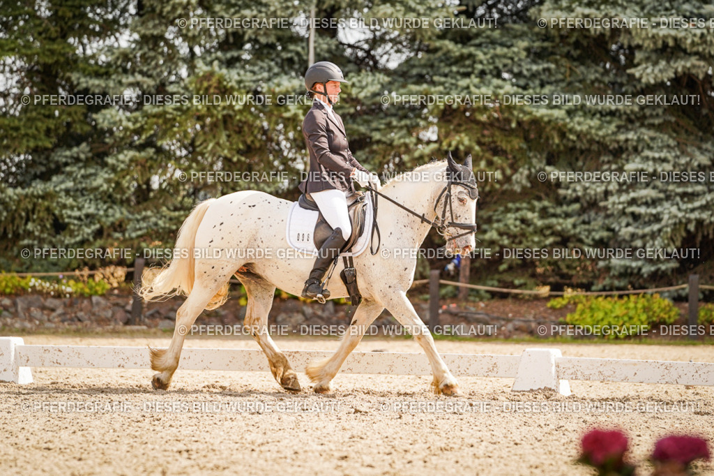 DSC01551 | Pferdegrafie