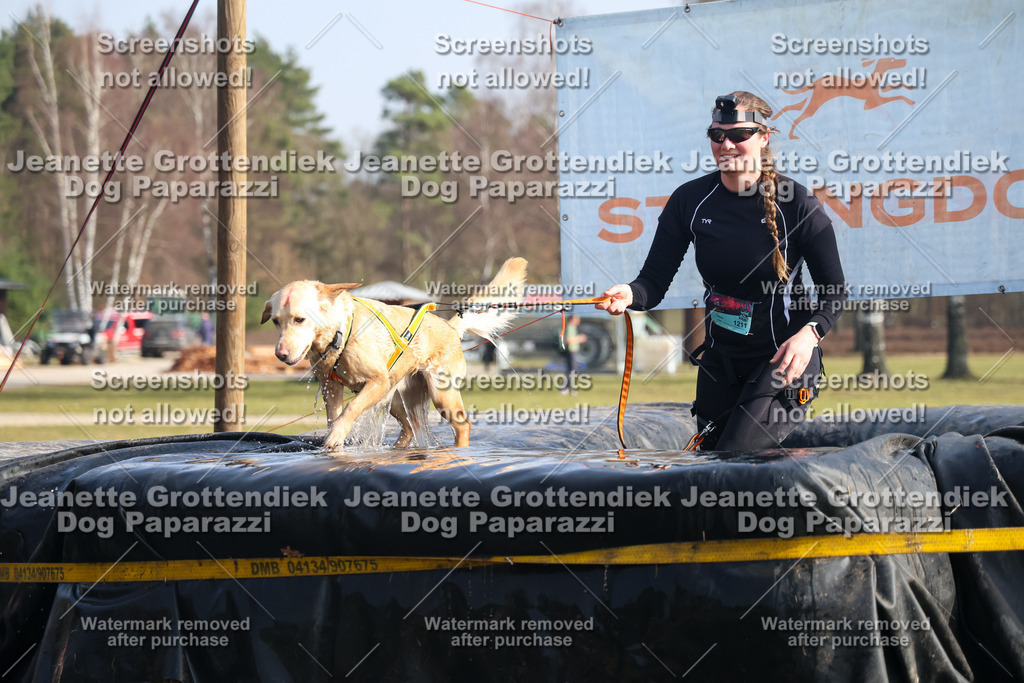 Dog Paparazzi - Strongdog North Mrz26-1729 | Dog Paparazzi Jeanette Grottendiek Fotografie & Videografie - Realisiert mit Pictrs.com
