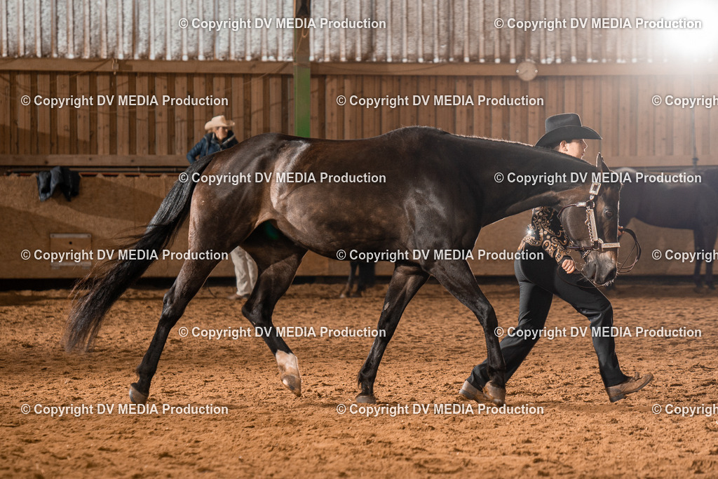 BAL01379 | dv-media-shop - Realisiert mit Pictrs.com