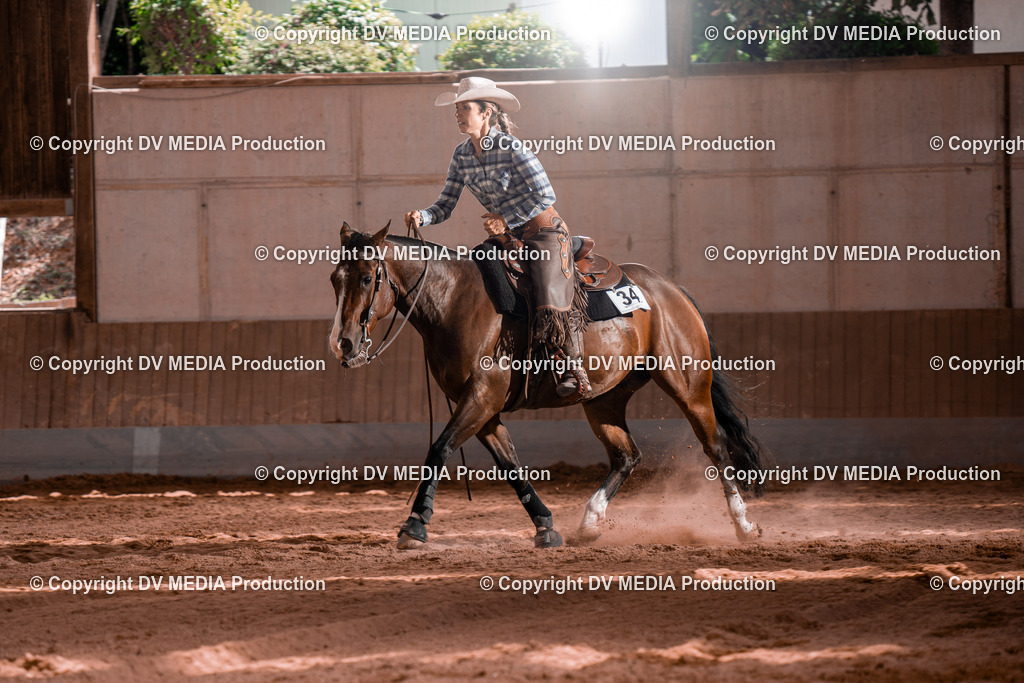 NE100859 | dv-media-shop - Realisiert mit Pictrs.com