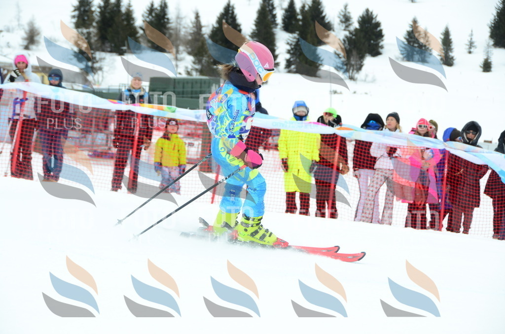 DSC_0757 | holidayphoto