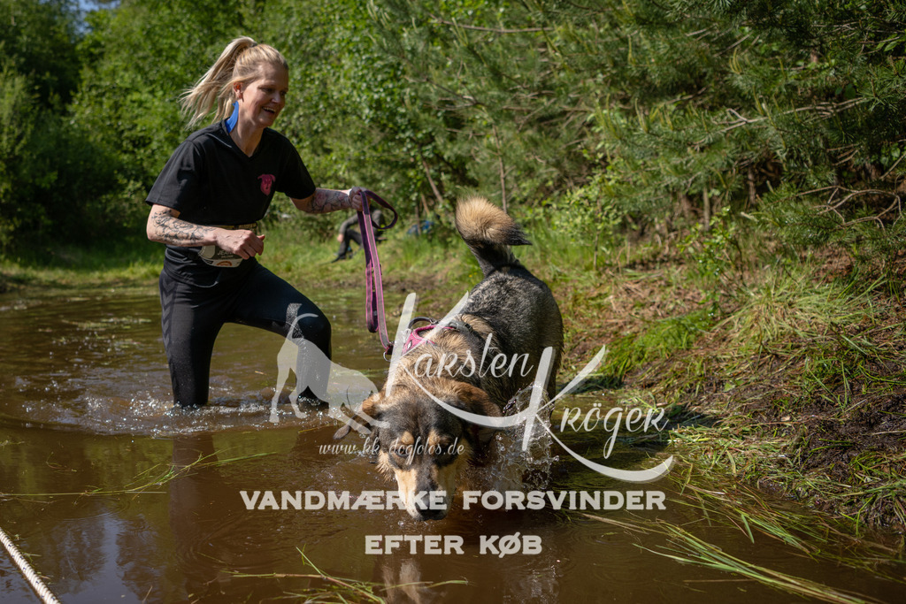 1608DKK993559 | kk-dogfotos