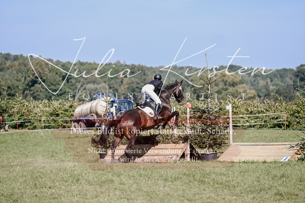 DSC_3416 | Pferde- und Turnierfotografie in Westsachsen. Pferdeportraits, Auftragszeichnungen und intuitive Kunst.