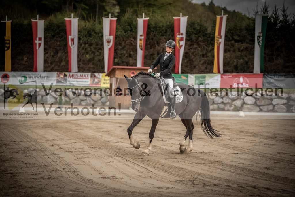 DSC_8198 | equestrian-live-com