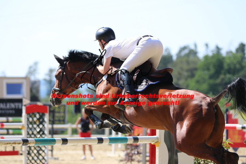 IMG_2983 | lmwpictures - Realisiert mit Pictrs.com