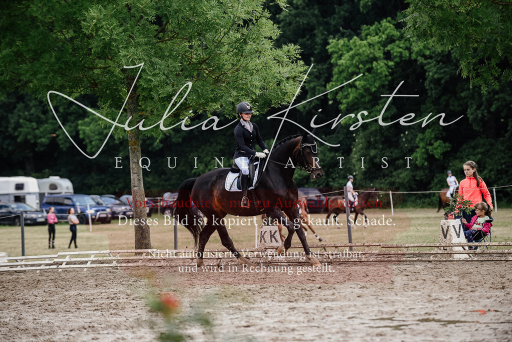 DSC_0632 | Pferde- und Turnierfotografie in Westsachsen. Pferdeportraits, Auftragszeichnungen und intuitive Kunst.