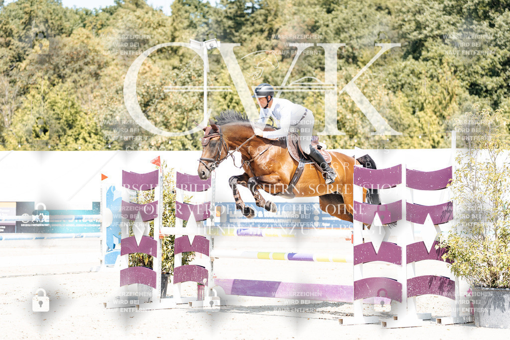CK900951 | Turnierfotografie Pferdefotografie Trier Rheinland-Pfalz Pferdesport Reitsport Tierfotografie Sportfotografie Pferdevideo Pferdevideografie Equestrianvideography equestrianphotography  - Realisiert mit Pictrs.com