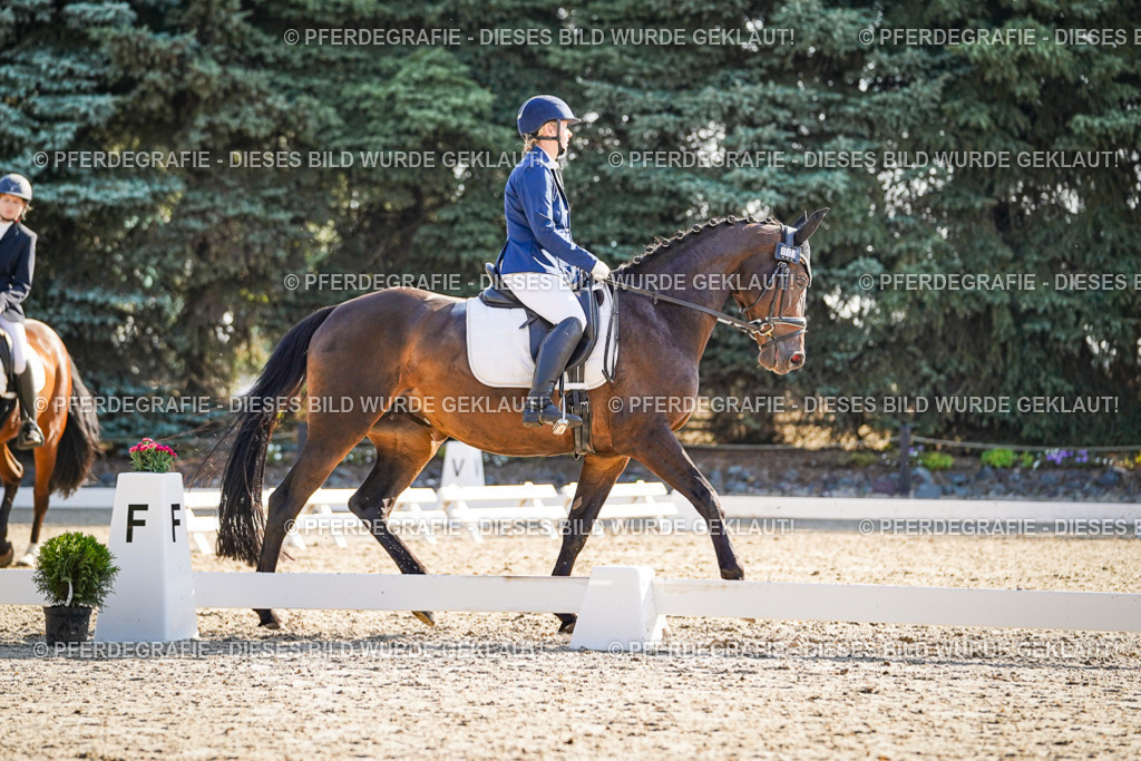 DSC09218 | Pferdegrafie