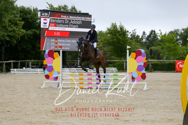 IMG_4913 | Turniersportfotografie; Pferdefotografie; Dressurfotografie