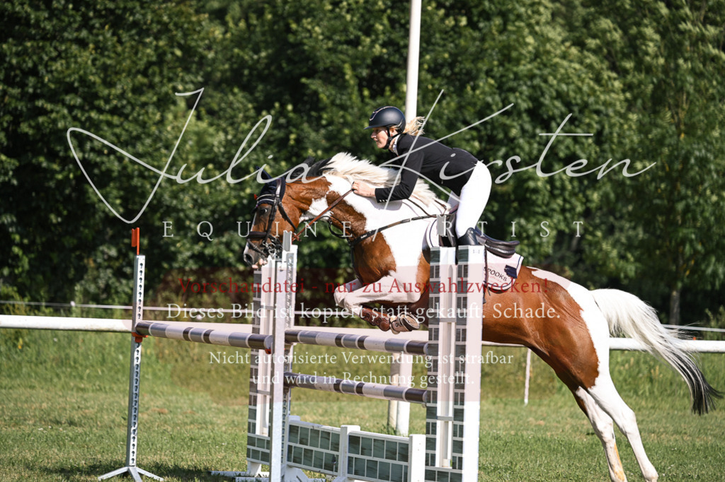 DSC_1114 | Pferde- und Turnierfotografie in Westsachsen. Pferdeportraits, Auftragszeichnungen und intuitive Kunst.