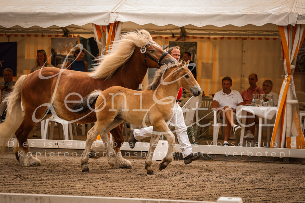 SaSF00047 | Leoni Ertmer Photography - Realisiert mit Pictrs.com