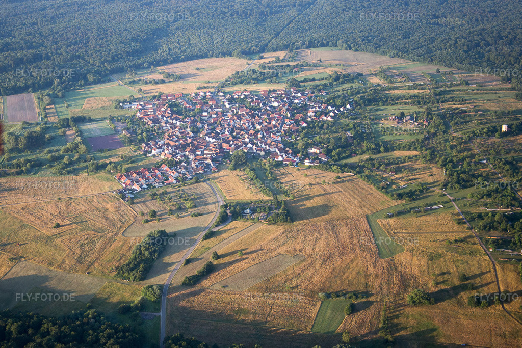 Luftbild: Dorf - Ansicht am Rhein im Ortsteil Büchelberg in Wörth im Bundesland Rheinland-Pfalz in Deutschland.Foto: IMG_082866.jpg vom 26.06.2015 durch Werner Riehm/FLY-FOTO.deAuflösung des Originals: 4507 x 3004 px