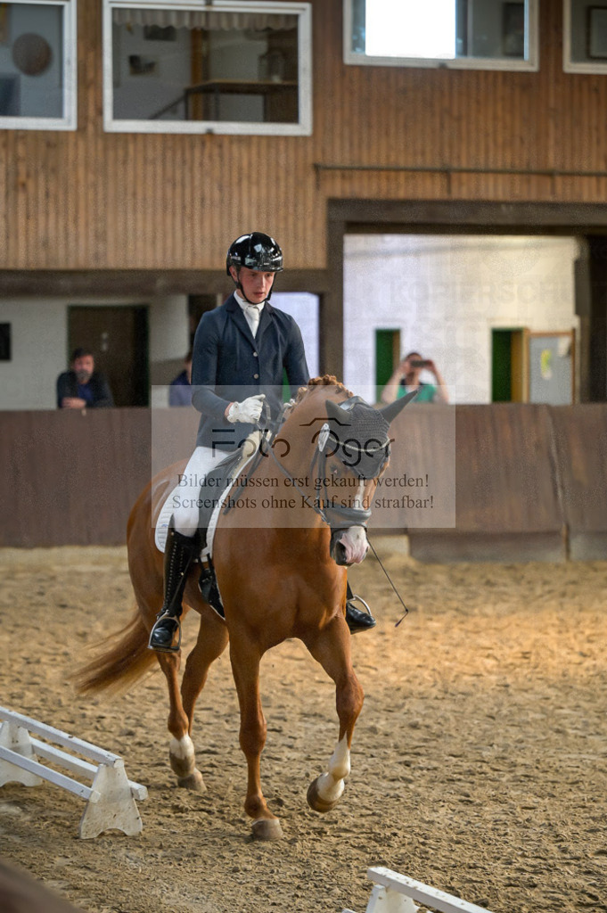 Reitturnier Voxtrup | Entdecke hochwertige Reitturnierfotos von Foto Oger. Professionell, emotional und authentisch – jetzt Lieblingsmomente im Shop bestellen.Deutschlandweite Turnierfotografie. - Realisiert mit Pictrs.com