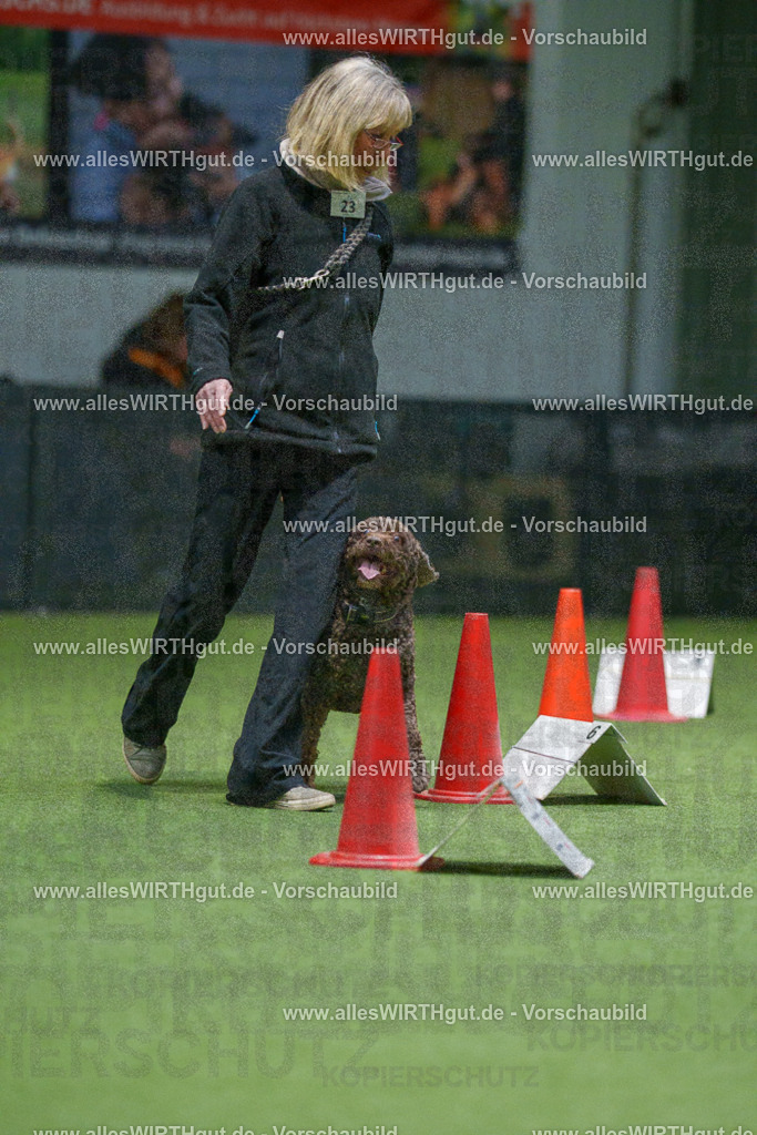 7R504893 | Professionelle Tierfotografie in Mönchengladbach von Daniel Wirth (allesWIRTHgut). Liebevolle & natürliche Bilder von Hunden & Katzen für unvergessliche Erinnerungen.
