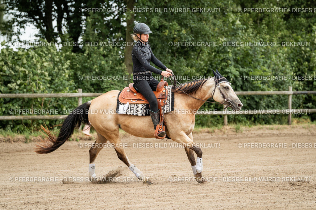 DSC04728 | Pferdegrafie