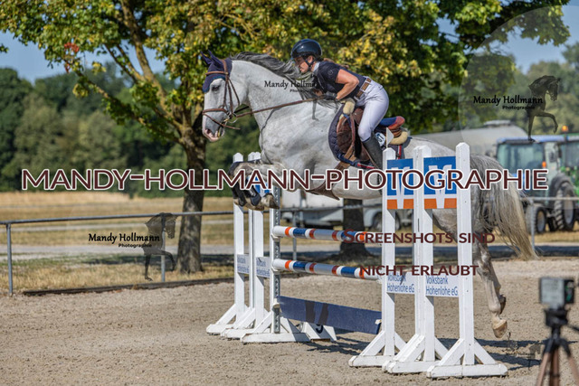 26-7-24 Amateur L-51 | mandyhollmannphotographie